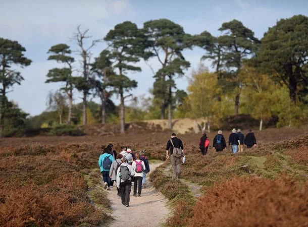 Guided Walks