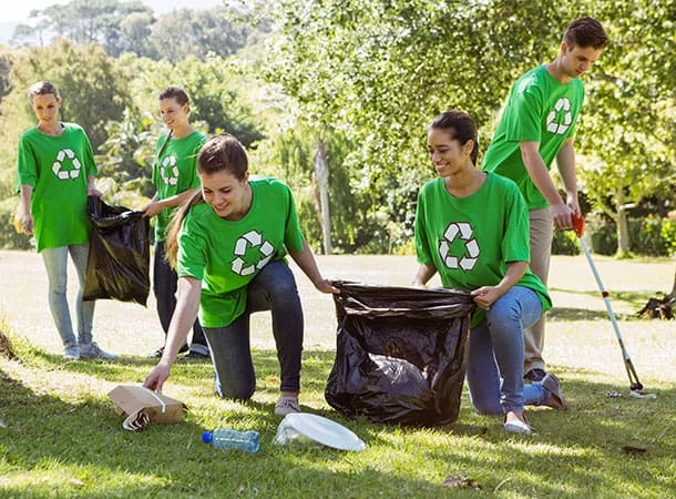 The New Forest Spring Clean