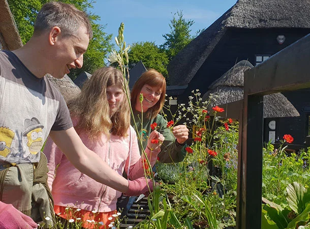 Bargain plant sell off at New Forest charity garden