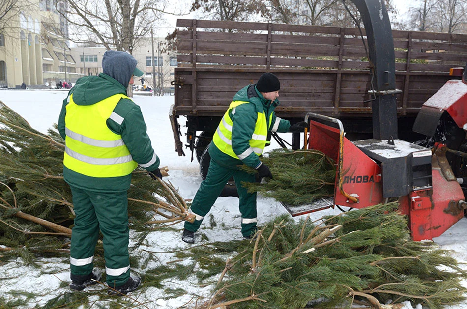 christmas tree recycling