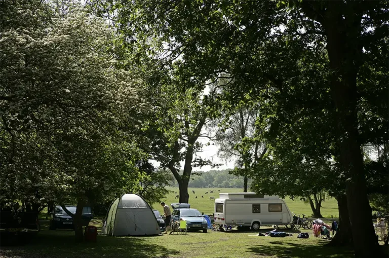 Have your say on new pop-up campsite planning controls for the New Forest