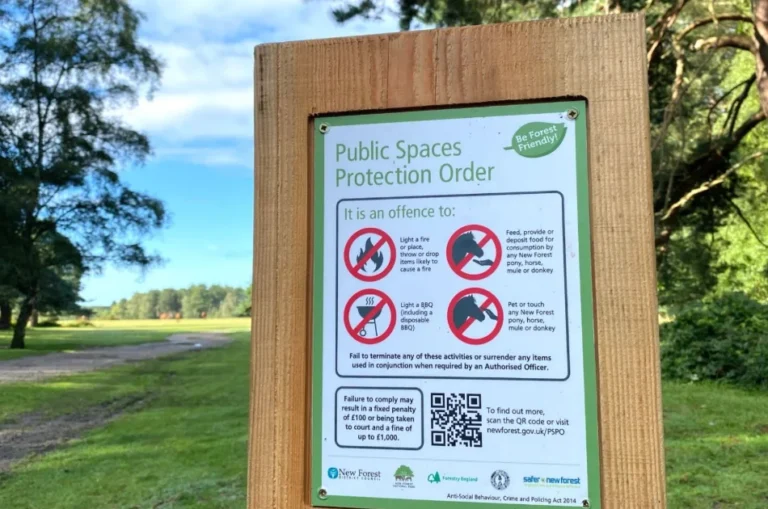 A wooden sign in a grassy park lists prohibited activities: barbecues, feeding ponies, petting ponies, and littering. Linked to New Forest wildfire prevention efforts and the recent government ban on disposable barbecue sales, it displays red prohibition icons and instructions for fines and reporting violations. Trees and sky are in the background.